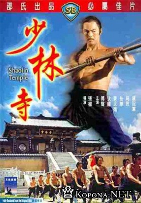   / Shaolin Temple DVDRip