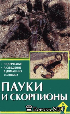 А. Чегодаев - Пауки и скорпионы