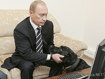 Кот Дмитрия Медведева заменит собаку Владимира Путина