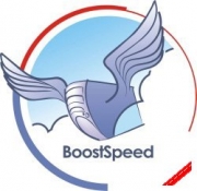 AusLogics BoostSpeed 4.1.0.98 (  07.03.2008)