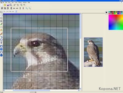 Falco Icon Studio v2.5