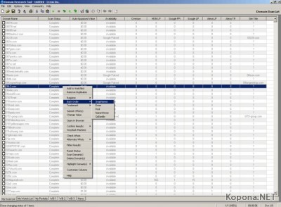 Domain Research Tool 2.0.6.20757