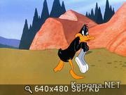   :    / Looney Tunes : Quick and funnies (2007) DVDRip