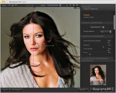 Nik Software Sharpener Pro v3.0 for Photoshop