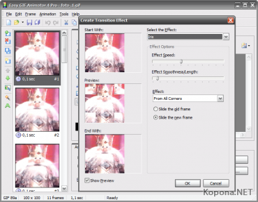 Blumentals Easy GIF Animator Pro v4.8.1.39 Retail CRD