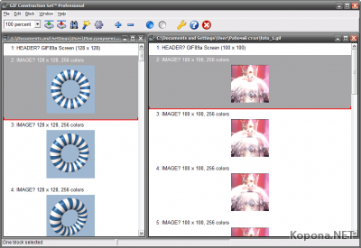 Alchemy Mindworks GIF Construction Set Professional v3.0a30