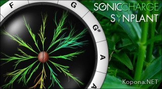 Sonic Charge Synplant VSTi v1.0