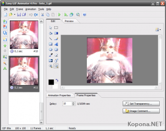 Blumentals Easy GIF Animator Pro 4.9.0.40 Retail - CRD