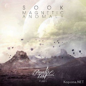 Sook - Magnetic Anomaly (2012)