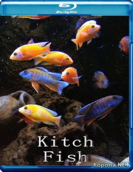 Китч рыбы / Kitch Fish (2010) Blu-Ray 3D