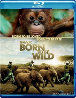 IMAX: Рожденные на воле / IMAX: Born to Be Wild (2011) Blu-ray 3D + BD Remux + BDRip 1080p [3D, 2D] / 720p + HDRip
