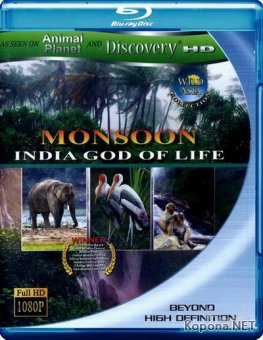 Дикая Азия: Муссон - индийский бог жизни / Wild Asia: Monsoon - India God of Life (1999) Blu-ray + BDRip 720p