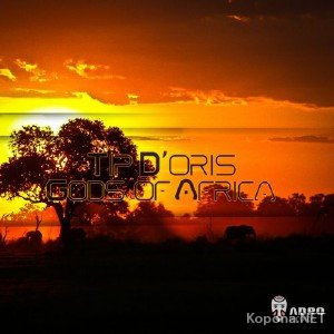 Tip D'Oris - Gods Of Africa (2012)