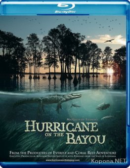 Ураган на Байу / IMAX - Hurricane on the Bayou (2006) BD Remux + BDRip 1080p / 720p
