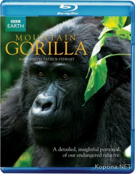 Горная горилла / BBC: Mountain Gorilla (2010) Blu-ray + BDRip 720p