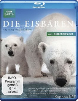BBC: Белый медведь - Шпион во льдах / BBC: Polar Bear - Spy on the Ice (2010) Blu-ray + BDRip 1080p + AVC