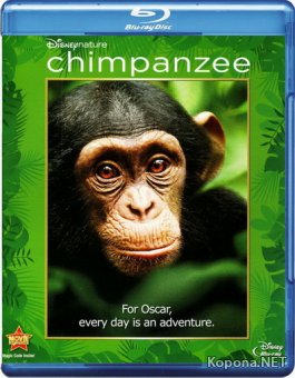 Шимпанзе / Chimpanzee (2012) Blu-ray + BD Remux + BDRip 1080p / 720p / AVC