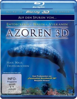 Азорские острова: Акулы, киты, манты / Azores 3D: Sharks, Whales, Manta Rays (2011) Blu-ray [3D, 2D] + BDRip 1080p 3D / 720p / AVC