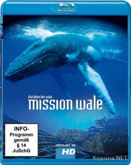 Миссия к китам / Whale Mission (2005) Blu-ray + BDRip 720p