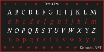  Ermis Pro
